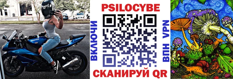 Галлюциногенные грибы MAGIC MUSHROOMS  Губкин 