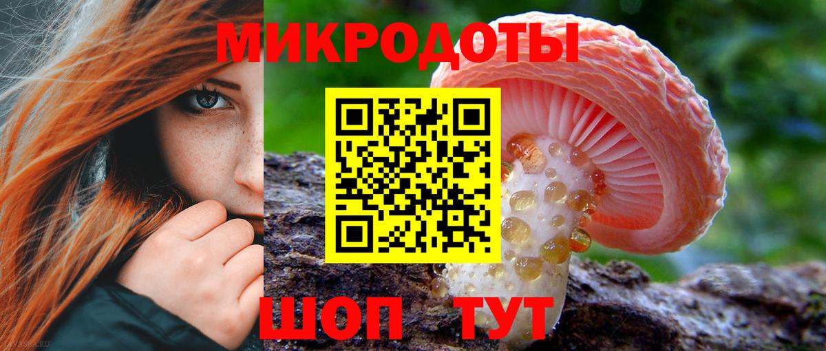 Псилоцибиновые грибы MAGIC MUSHROOMS Губкин