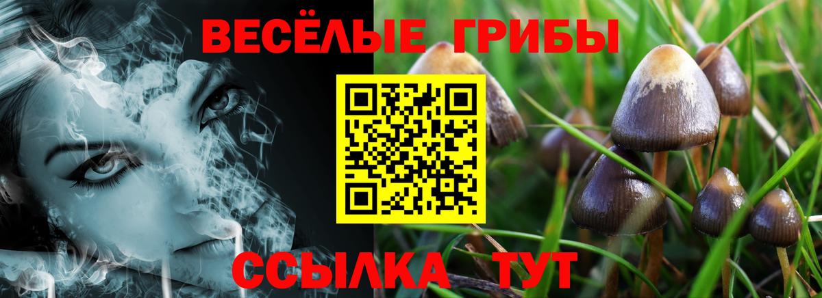 Псилоцибиновые грибы ЛСД  Вход с VPN  Губкин 